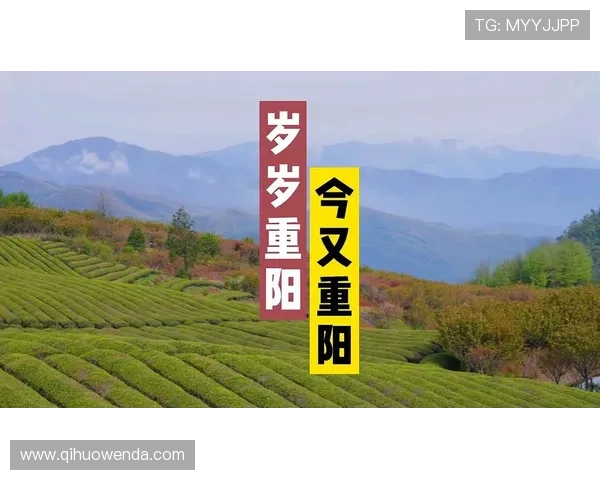 ✅体育直播🏆世界杯直播🏀NBA直播⚽- 重阳节，为何要饮菊花酒？- sports